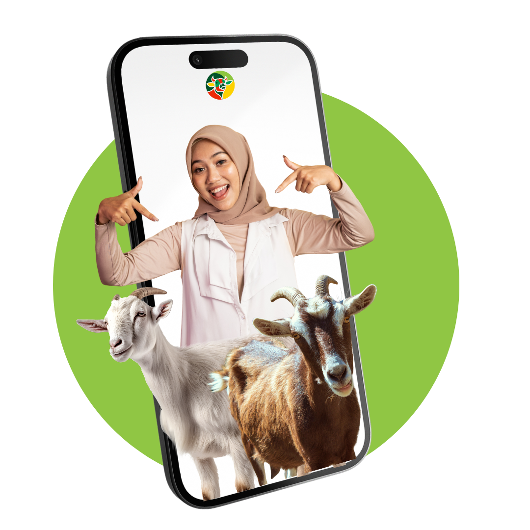 Qurban